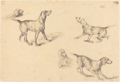 Cinque studi di un cane da punta francese da Richard Parkes Bonington