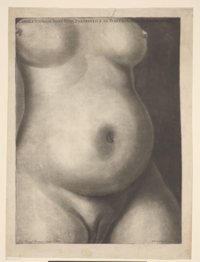 Torso di una donna incinta da Richard Purcell