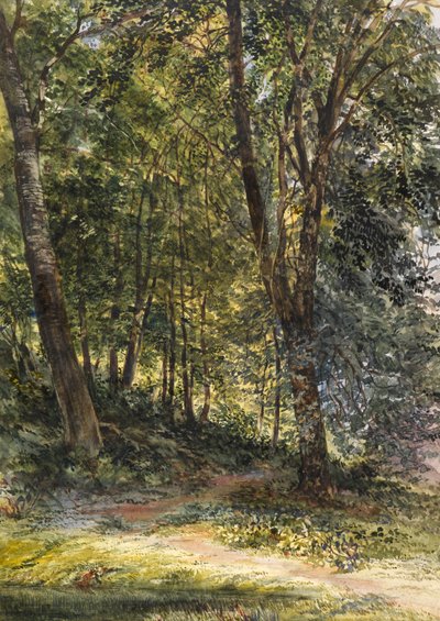 Boschi macchiati di sole, Surrey da Richard Redgrave