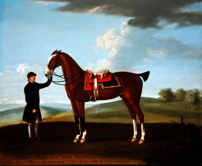 Il cavallo da caccia 