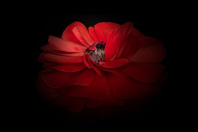  da Richard Urbanski