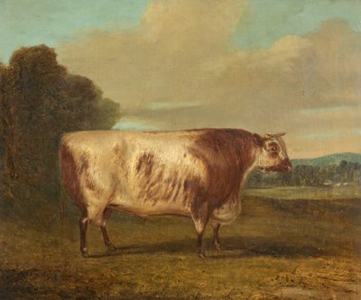 Un toro, 1862 da Richard Whitford
