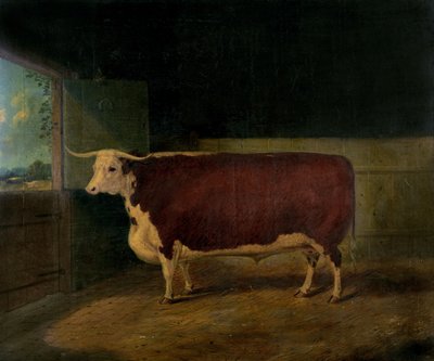 Ritratto di un Bue Hereford Premiato, 1874 da Richard Whitford
