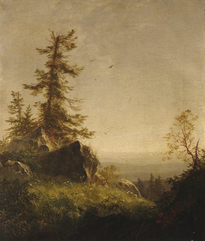 Mattina sulla montagna da Richard William Hubbard