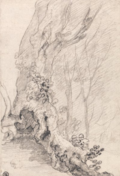 Studio di un vecchio albero: tronco e radici coperte di rampicanti da Richard Wilson