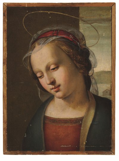 La Madonna: un frammento di un altare da Ridolfo Ghirlandaio (attr. to)