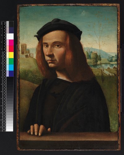 Ritratto di un giovane uomo, 1500 da Ridolfo Ghirlandaio