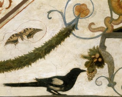 R.Ghirlandaio, Grottesca, Uccello da Ridolfo Ghirlandaio
