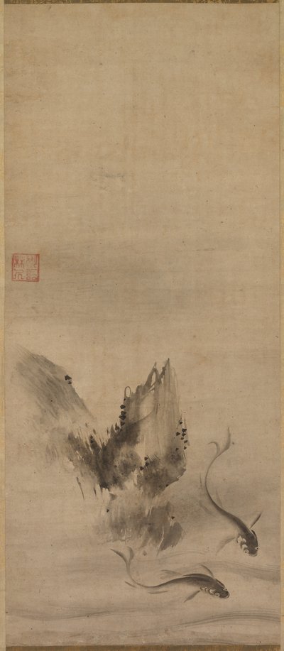 Pesce e roccia, pesce e alghe da Rinkyo