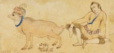 Studio di un Giovane e un Ariete, 1630-31 o Successivo da Riza i Abbasi