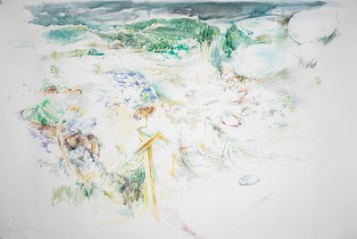 Discarica, Foresta vicino a Philipsville (ritagliata), 2023 da Rob D Davies