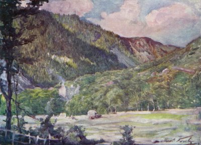 Un campo di fieno vicino a Portmadoc (litografia colorata) da Robert (after) Fowler