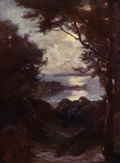 Beaumaris, Chiaro di luna (litografia colorata) da Robert (after) Fowler