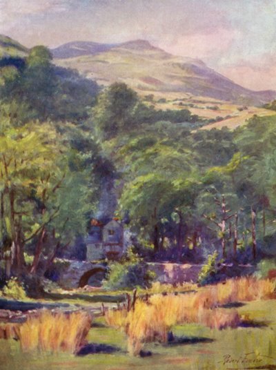 Montagna Duffws (litografia colorata) da Robert (after) Fowler