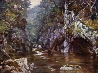 Fairy Glen, Bettws-y-Coed da Robert (after) Fowler