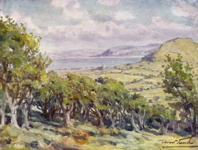 Vicino a Colwyn Bay da Robert (after) Fowler