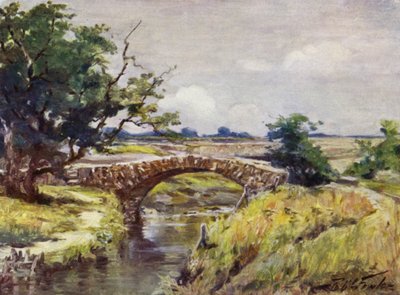 Vecchio ponte romano, vicino a Swansea da Robert (after) Fowler