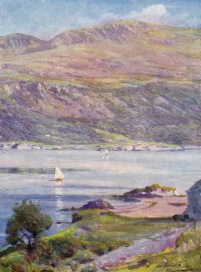 Pomeriggio soleggiato, Cardigan Bay da Robert (after) Fowler
