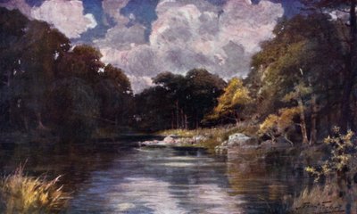 Il ruscello delle trote (litografia colorata) da Robert (after) Fowler