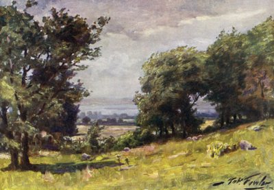 Giornata ventosa, vicino a Llanrug da Robert (after) Fowler