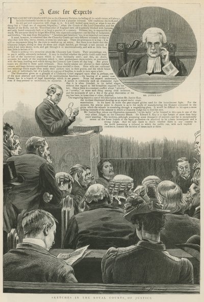 Un caso per esperti: schizzi nei Tribunali Reali di Giustizia; con una vignetta del signor Justice Kay da Robert Barnes