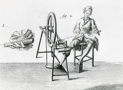 Economia rustica, cotone, da Enciclopedia di Denis Diderot (dettaglio) da Robert Benard