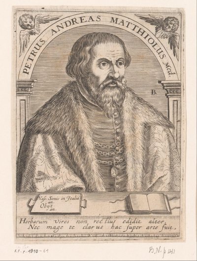 Ritratto di Pietro Andrea Mattioli da Robert Boissard