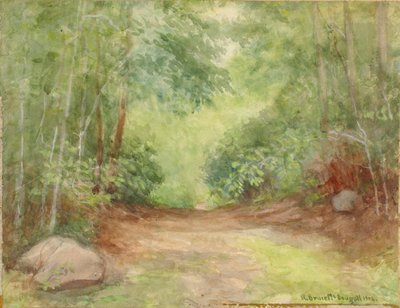 Scena forestale senza titolo, 1902 da Robert Bruce McDougall