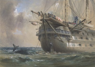 H.M.S. Agamemnon posa il cavo telegrafico atlantico nel 1858: una balena attraversa la linea, 1865-66 da Robert Charles Dudley
