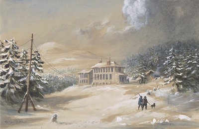 Trinity Bay, Terranova, vista esterna della Casa del Telegrafo nel 1857-1858 da Robert Charles Dudley