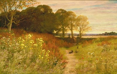 Paesaggio con fiori selvatici e conigli da Robert Collinson