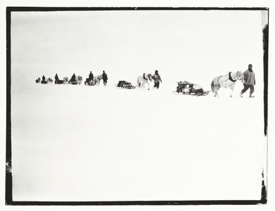 Pony in marcia, Grande Barriera di Ghiaccio, 2 dicembre da Robert Falcon Scott