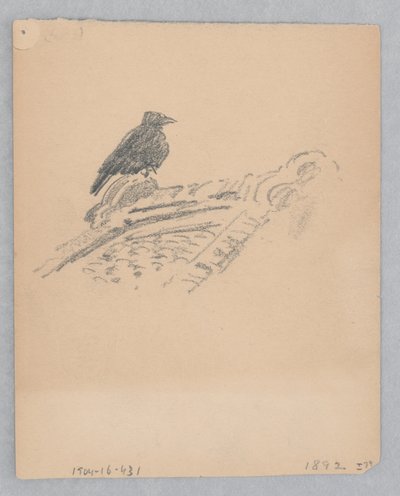 Uccello da Robert Frederick Blum