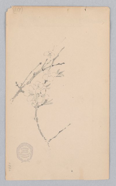 Ramo da Robert Frederick Blum