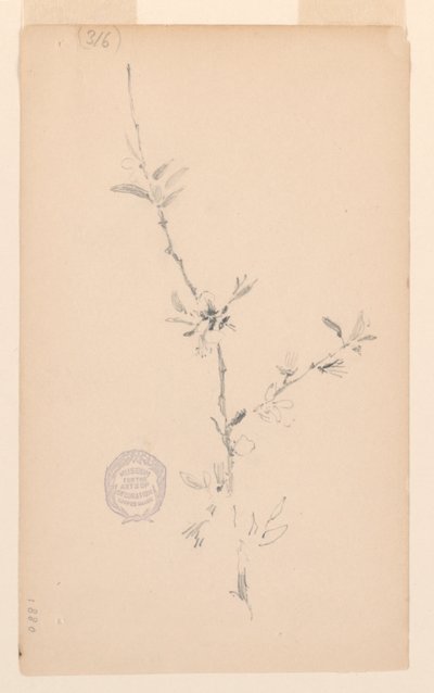 Ramo da Robert Frederick Blum