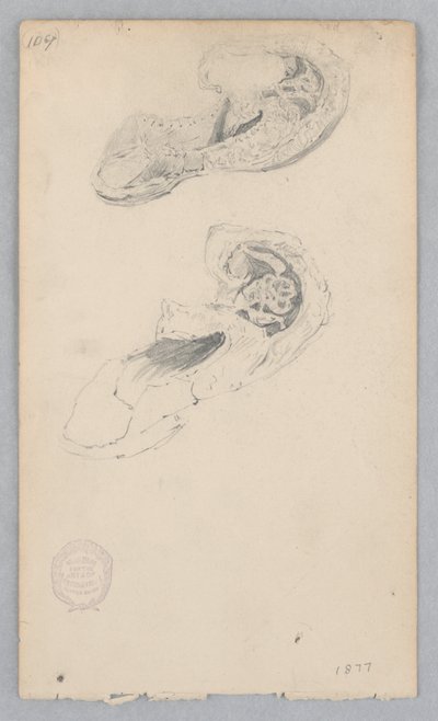 Scarpa da Robert Frederick Blum