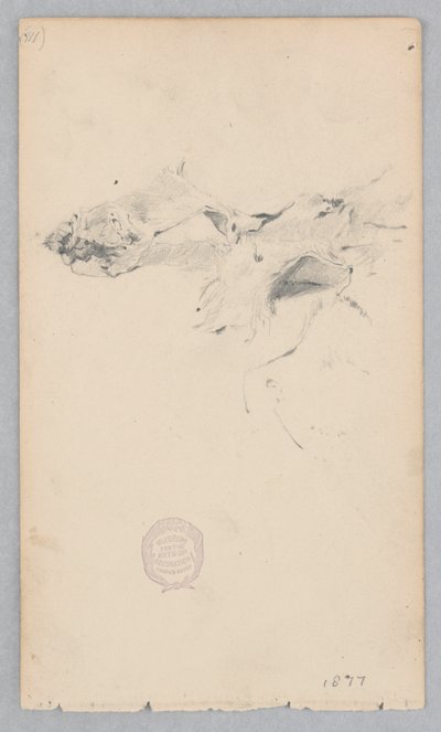 Tappeto di pelle di tigre da Robert Frederick Blum