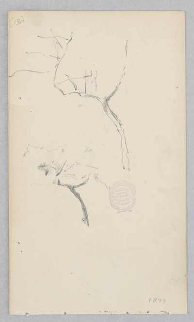 Albero da Robert Frederick Blum