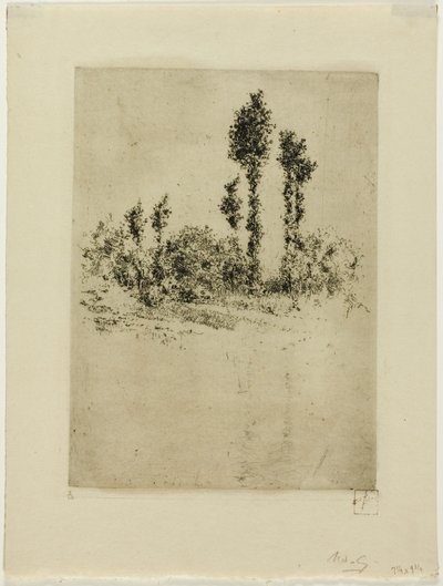 Paesaggio incompiuto da Robert Frederick Blum