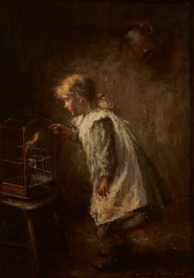 Il Canarino Domestico da Robert Gemmell Hutchison
