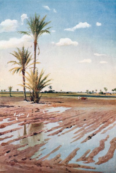  da Robert George Talbot Kelly