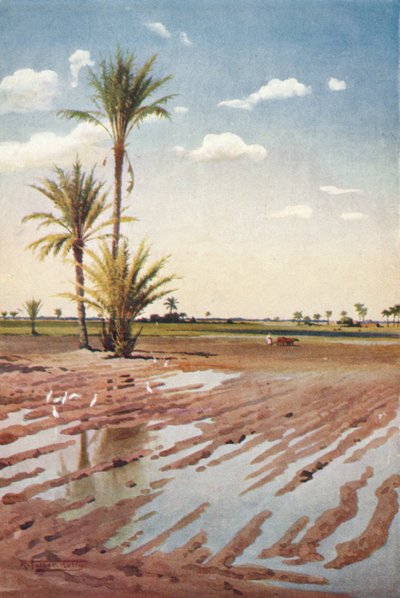 Un Campo Irrigato da Robert George Talbot Kelly