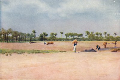 Esbet-El-Ekiad - Terra di Goshen, c1880, 1904 da Robert George Talbot Kelly
