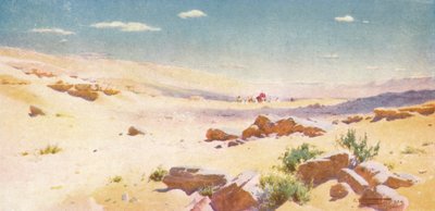 In una terra arida e secca, dove non c
