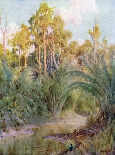La casa del pavone da Robert George Talbot Kelly