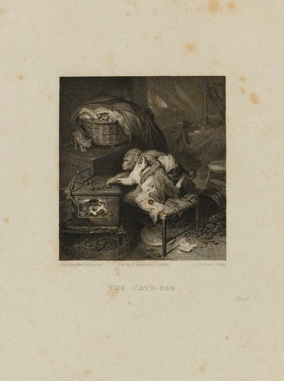 La zampa del gatto da Robert Graves
