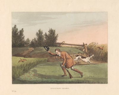 Caccia: Set di sei con pagina del titolo e copertina stampata: Miserie sportive, o sei giorni rossi in campagna da Robert Havell