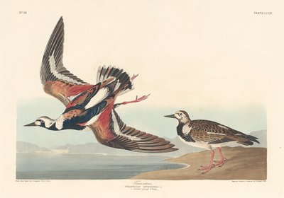 Pietra di svolta, 1836 da Robert Havell