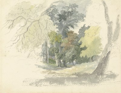 Una radura nel bosco da Robert Hills