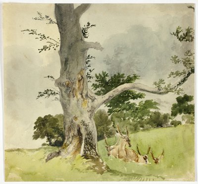 Famiglia di cervi sotto un albero da Robert Hills